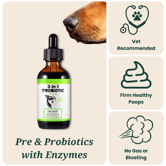 VetMD™ Advanced Gut Health Drops