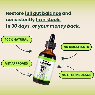 VetMD™ Advanced Gut Health Drops