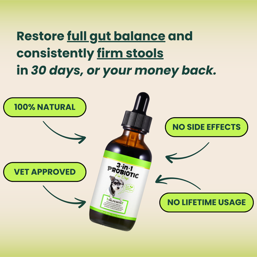 VetMD™ Advanced Gut Health Drops