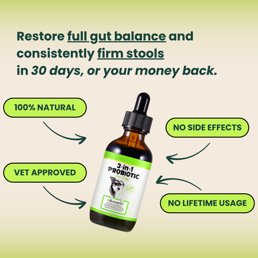 VetMD™ Advanced Gut Health Drops