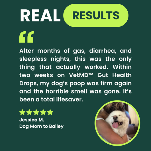 VetMD™ Advanced Gut Health Drops